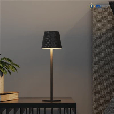 Lampes de table rechargeables pour le salon